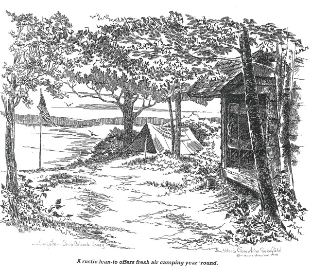 2 Cayuga Campsite - Camp Babcock-Hovey. BSA - 1976